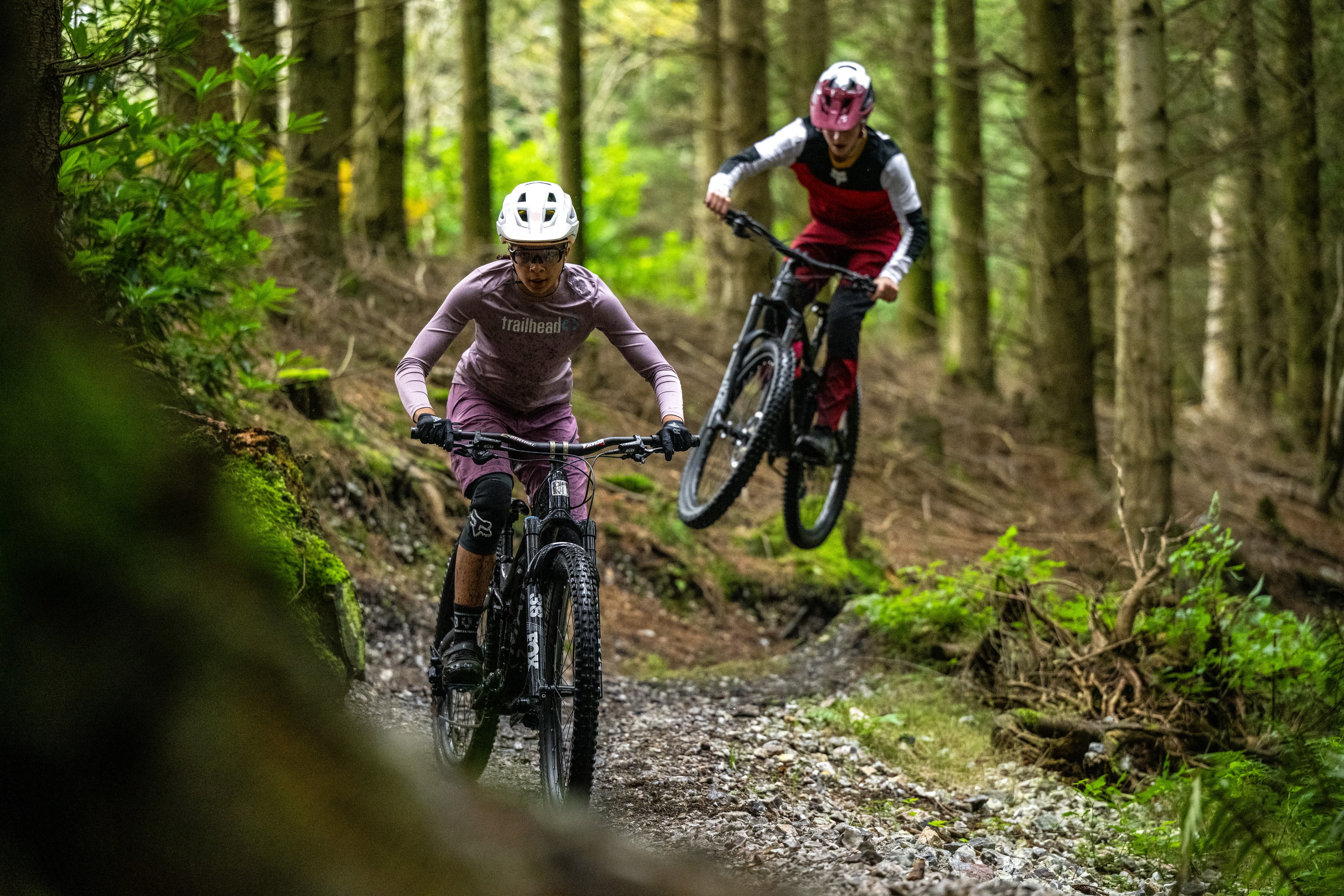 Cycling and mountain biking trails at Haldon Forest Park